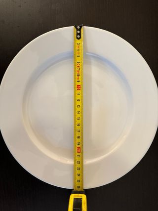 Plato trinchero 25 platos