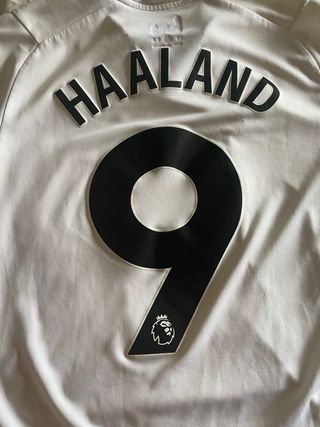 Camiseta Manchester City Haaland 23/24 Segunda Equ