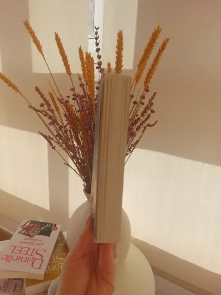 La librería de las ilusiones