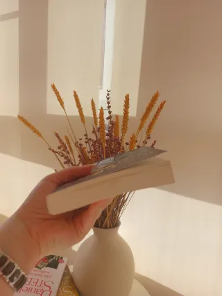 La librería de las ilusiones