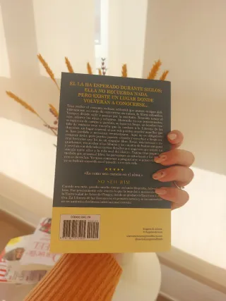 La librería de las ilusiones