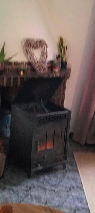 Estufa de leña con horno