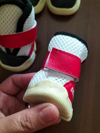 Scarpe per cani rosse e bianche