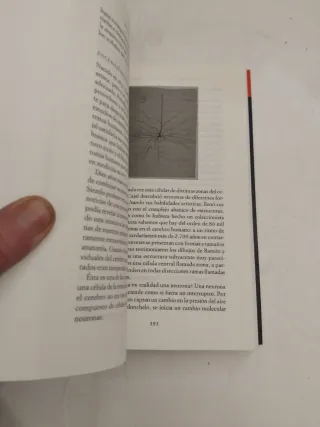 Lo que no podemos saber: Exploraciones en la fr...