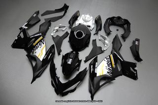 Carenado Completo KAWASAKI NINJA 400R 2018 - 2024