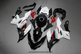 Carenado Completo KAWASAKI NINJA 400R 2018 - 2024
