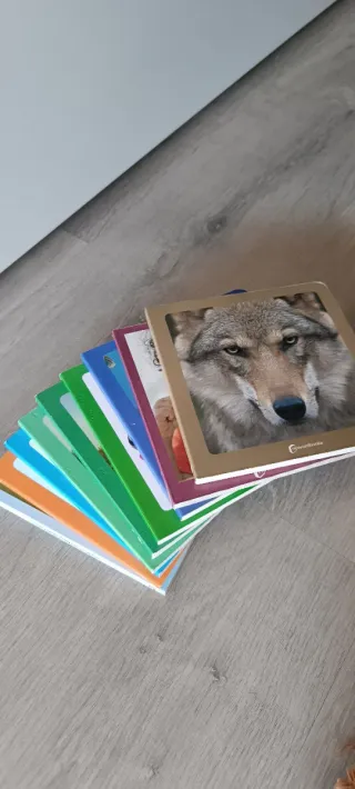 Colección Nowordbooks