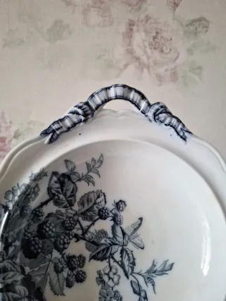 Legumbrera Brown-Westhead, Moore & Co.