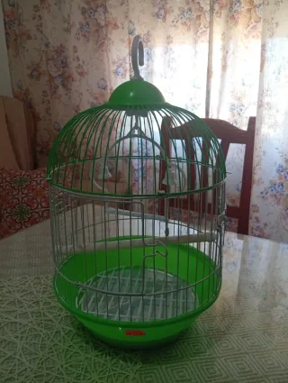 Jaula para pájaros verde y plateada