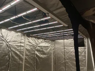 KIT ARMARIO DE CULTIVO + LEDS