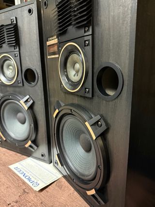 Pioneer CS-770 Coppia Diffusori 110W