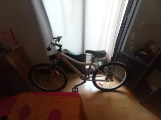 Bicicleta Montaña Niña