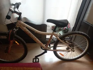 Bicicleta Montaña Niña