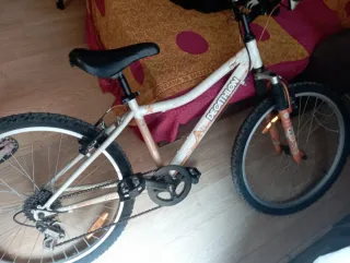 Bicicleta Montaña Niña