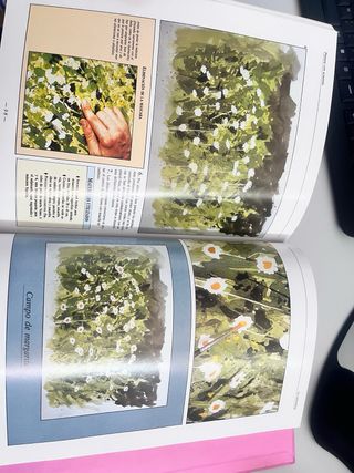 Introducción a la pintura con acuarela