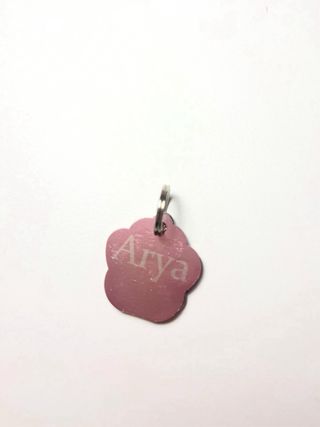 Chapa para mascota con huella brillante