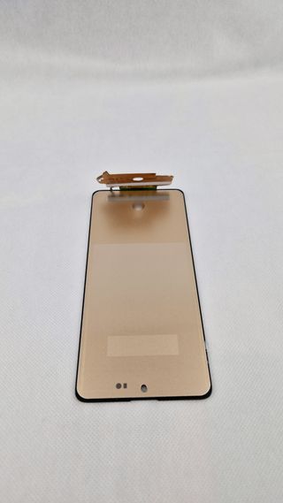 Display LCD Samsung Note 10 Lite N770