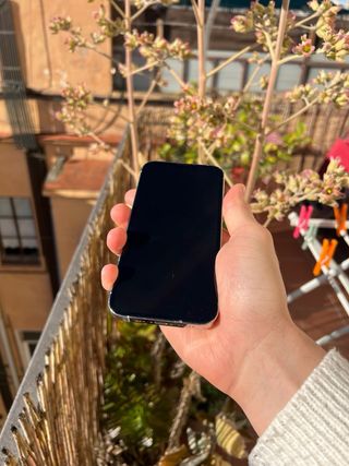 iPhone 13 Pro - 100%