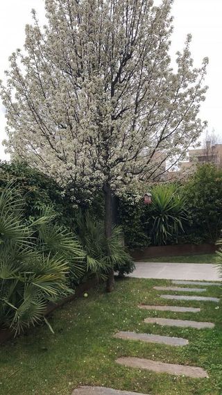 Casa pareada en alquiler en Valdemarín en Madrid