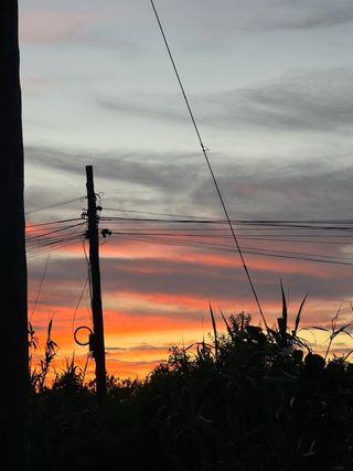 Alquilo parcela de 500 metros para caravana