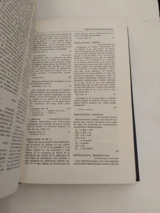 Diccionario de terminología lingüística actual