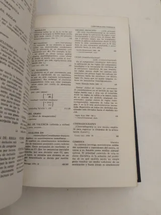 Diccionario de terminología lingüística actual