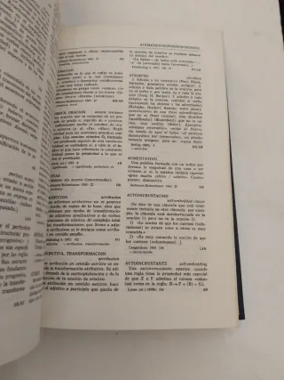 Diccionario de terminología lingüística actual