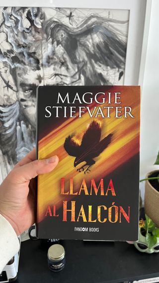 Llama al halcón: Trilogía de los soñadores. Lib...