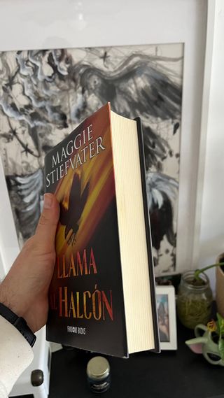 Llama al halcón: Trilogía de los soñadores. Lib...