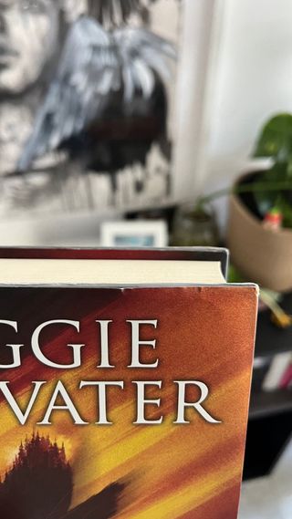 Llama al halcón: Trilogía de los soñadores. Lib...