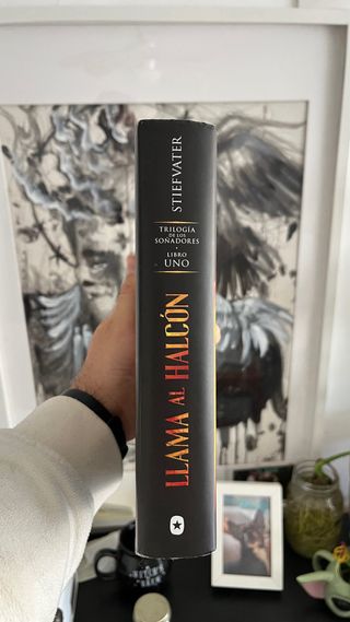 Llama al halcón: Trilogía de los soñadores. Lib...