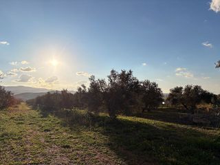 Terreno en venta en Dúrcal