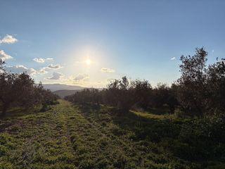 Terreno en venta en Dúrcal