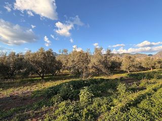 Terreno en venta en Dúrcal