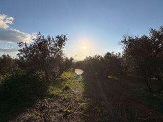 Terreno en venta en Dúrcal