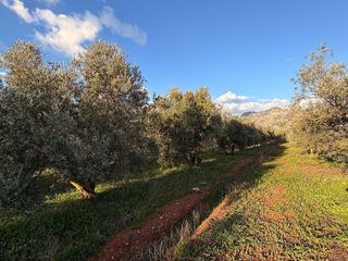 Terreno en venta en Dúrcal