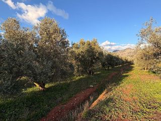 Terreno en venta en Dúrcal