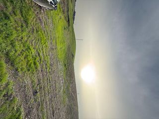 Solar en venta en Utrera