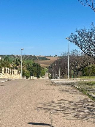 Solar en venta en Carlota (La)