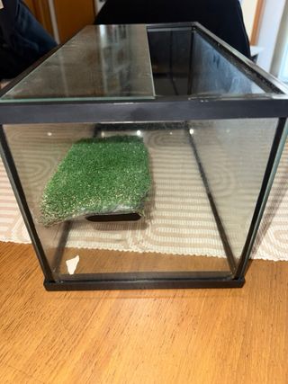 Aquaterrario poco uso