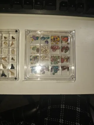 2 Scatole in Metacrilato con Denti Fossili e Conchiglie