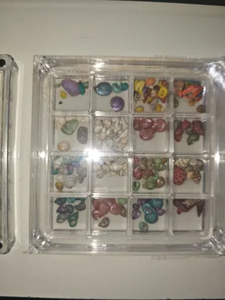 2 Scatole in Metacrilato con Denti Fossili e Conchiglie