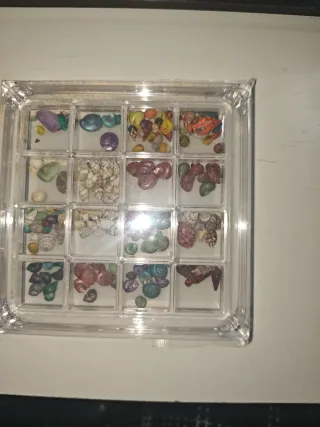 2 Scatole in Metacrilato con Denti Fossili e Conchiglie