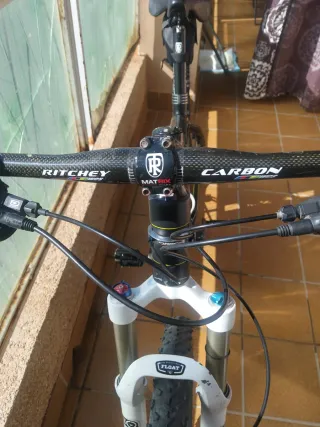 Bicicleta Orbea Alma S50 Carbono