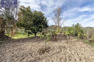 Cortijo en venta en Barrio de la Vega en Monachil