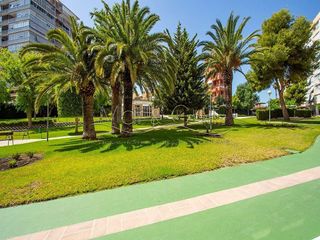 Piso en alquiler en Cabo de las Huertas en Alicante