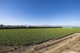 Terreno en venta en Cúllar Vega
