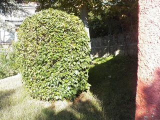 Casa pareada en venta en Miraflores de la Sierra