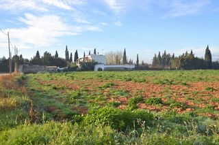Solar en venta en Muro