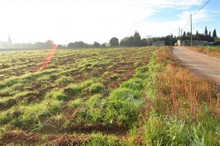 Solar en venta en Muro